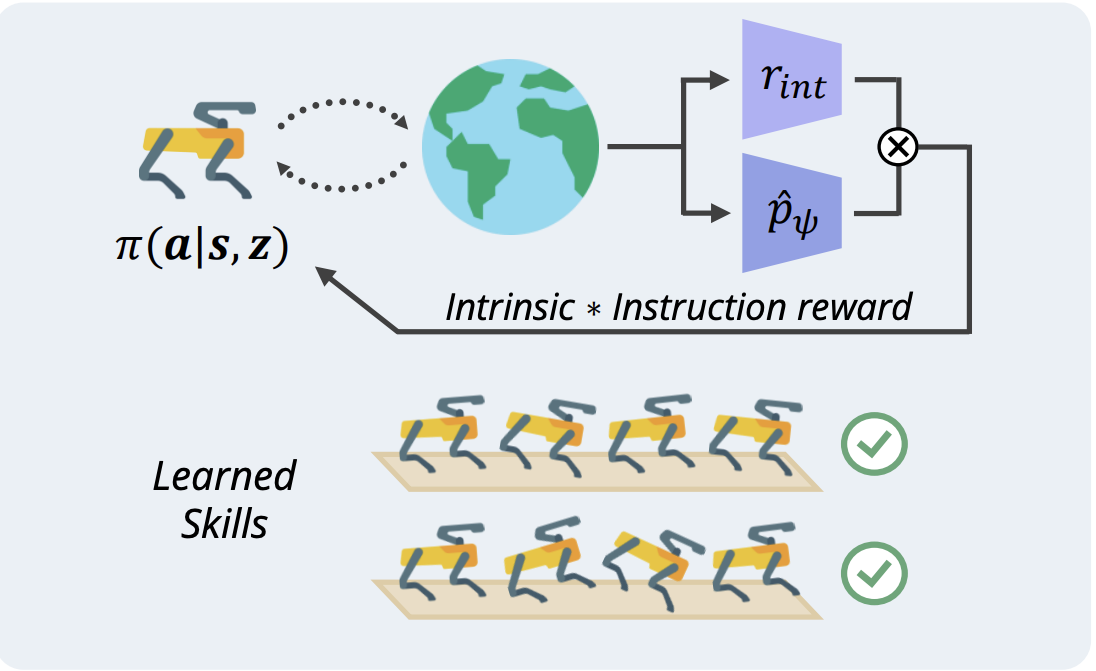 preprint2024dodont